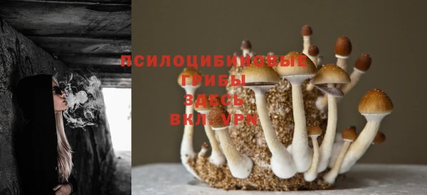 спиды Верхний Тагил